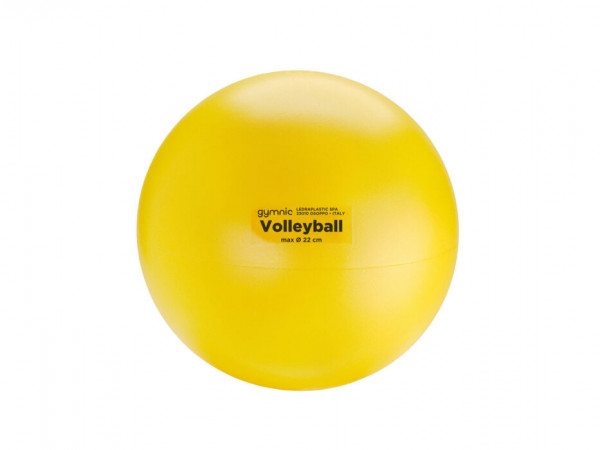 Volleyball Ø 22 cm, 220 g
